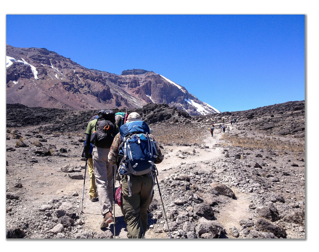 Kilimanjaro Trek Tour