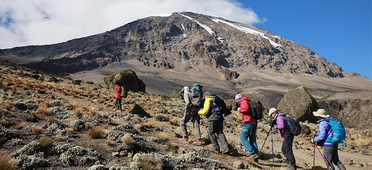 Kilimanjaro Trek Tour