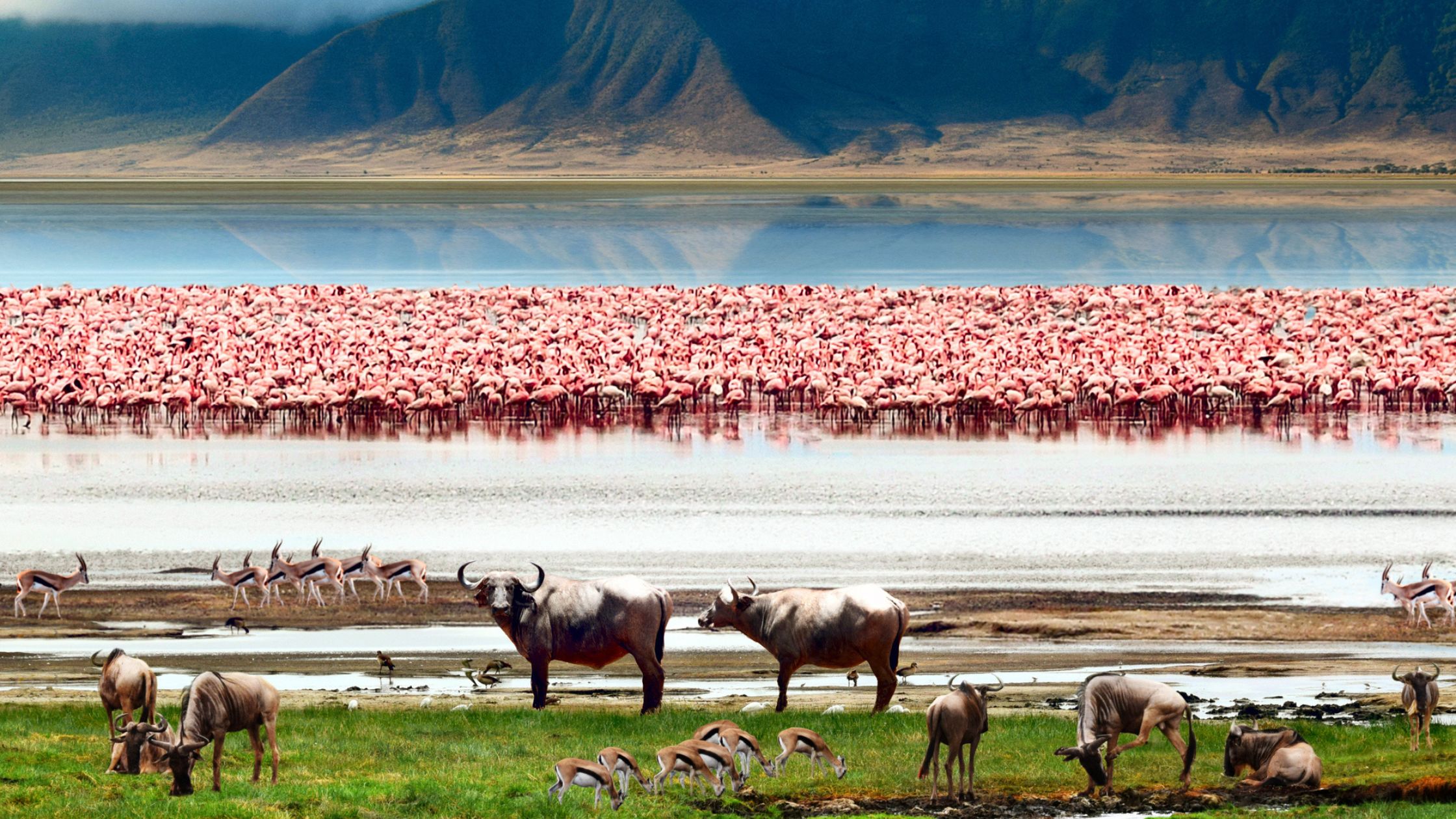 Loliondo & Eastern Serengeti