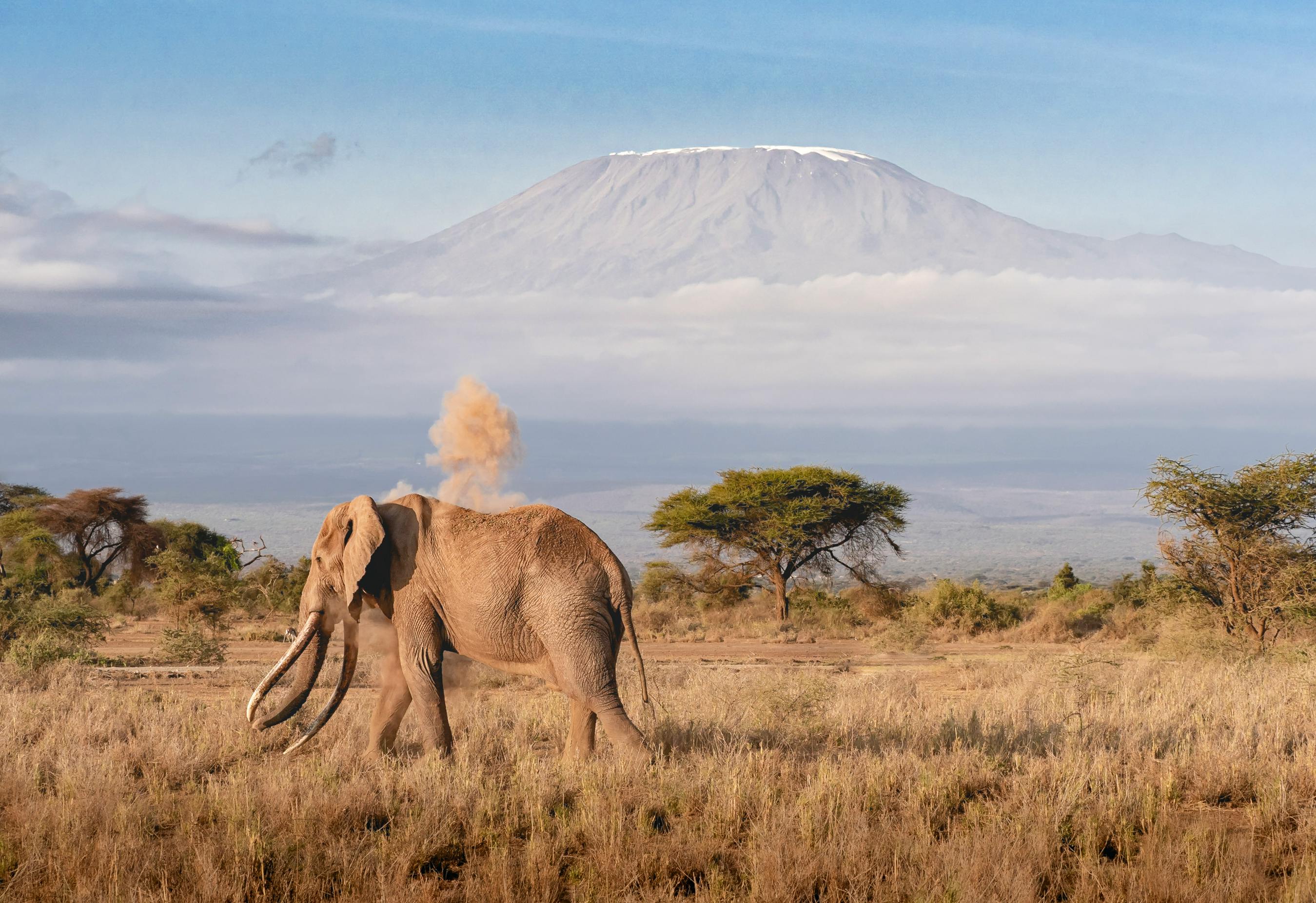 Kilimanjaro Trek