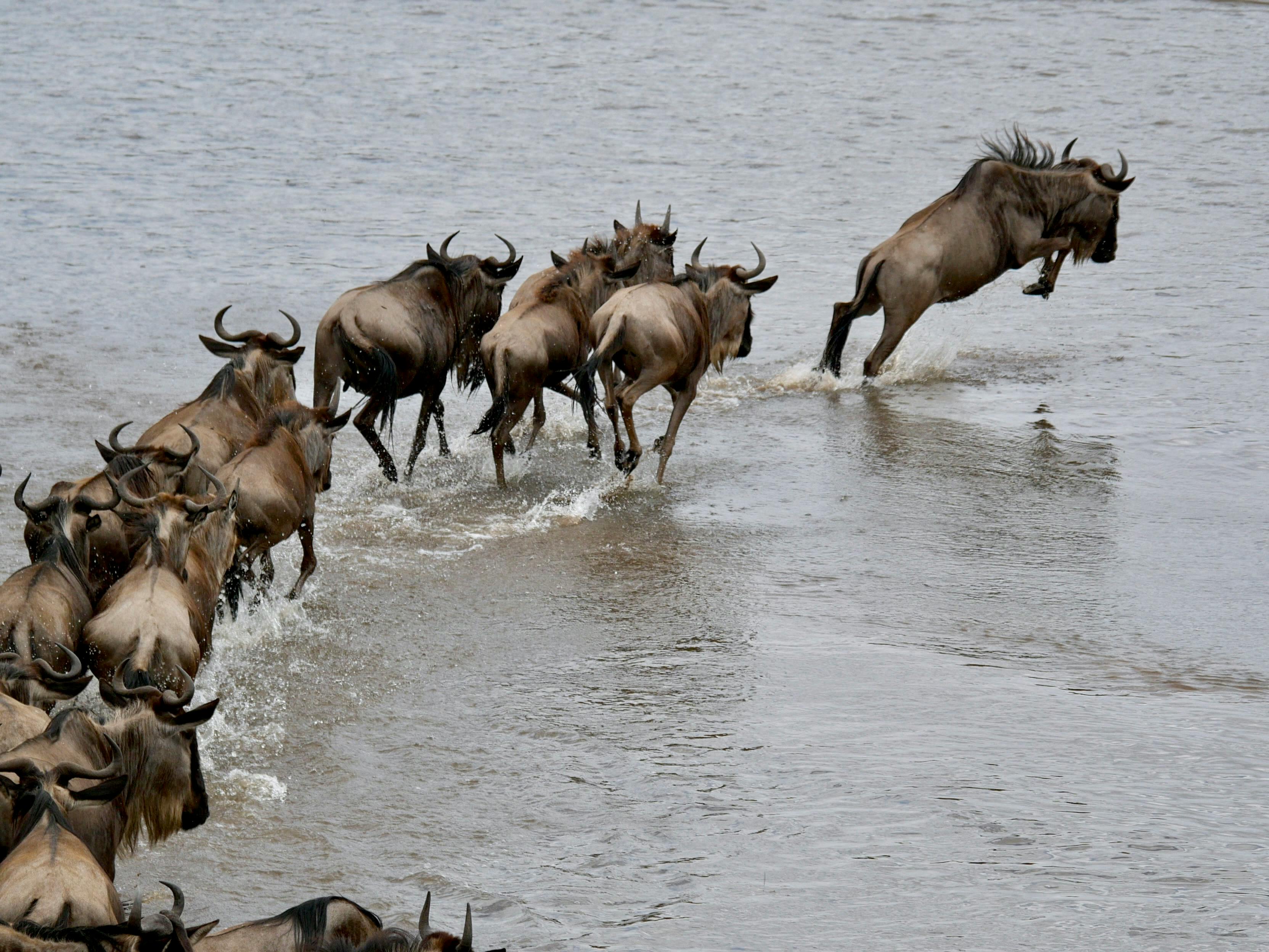 Zanzibar Beach Tour