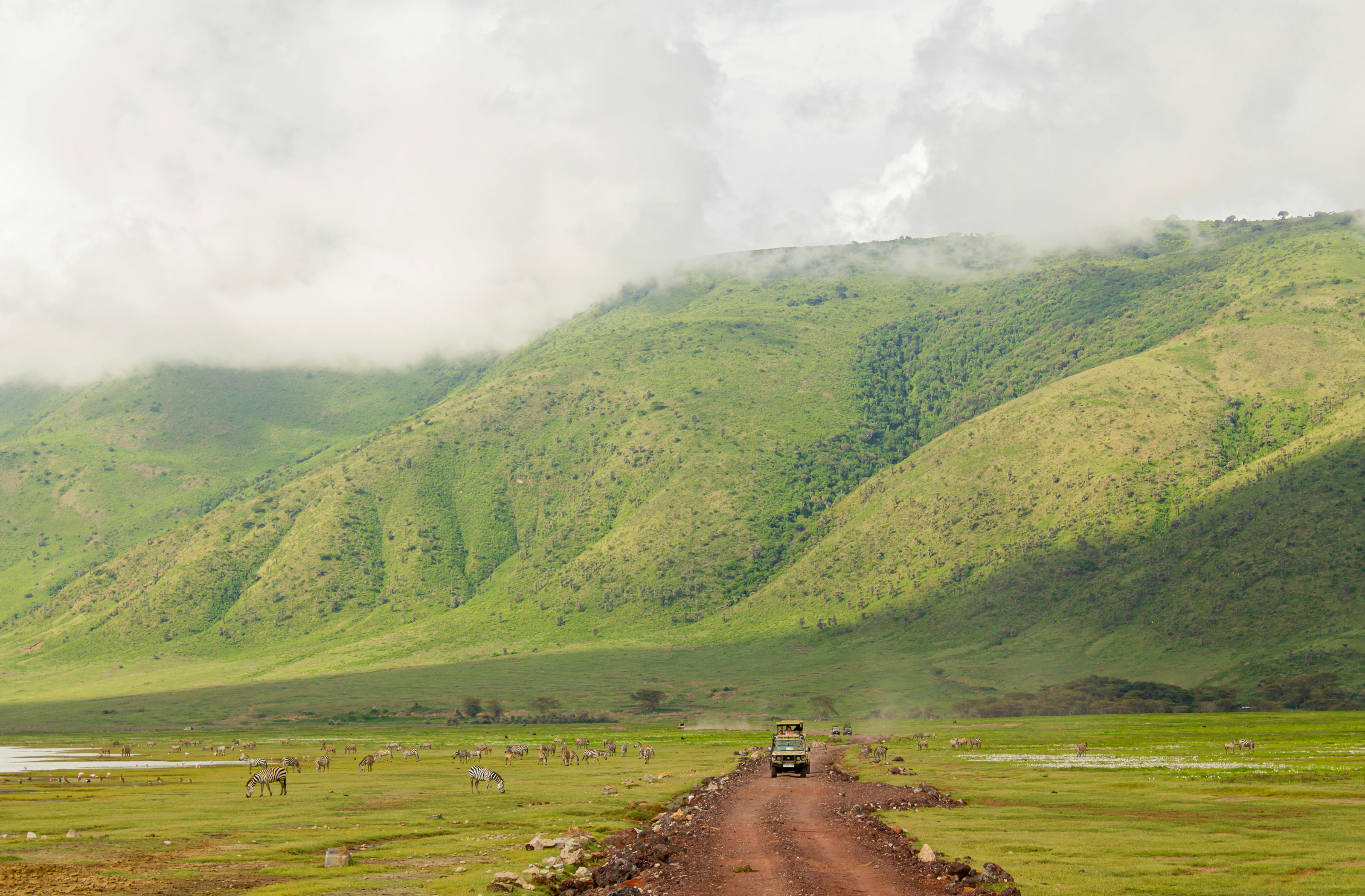 Kilimanjaro Trek Tour