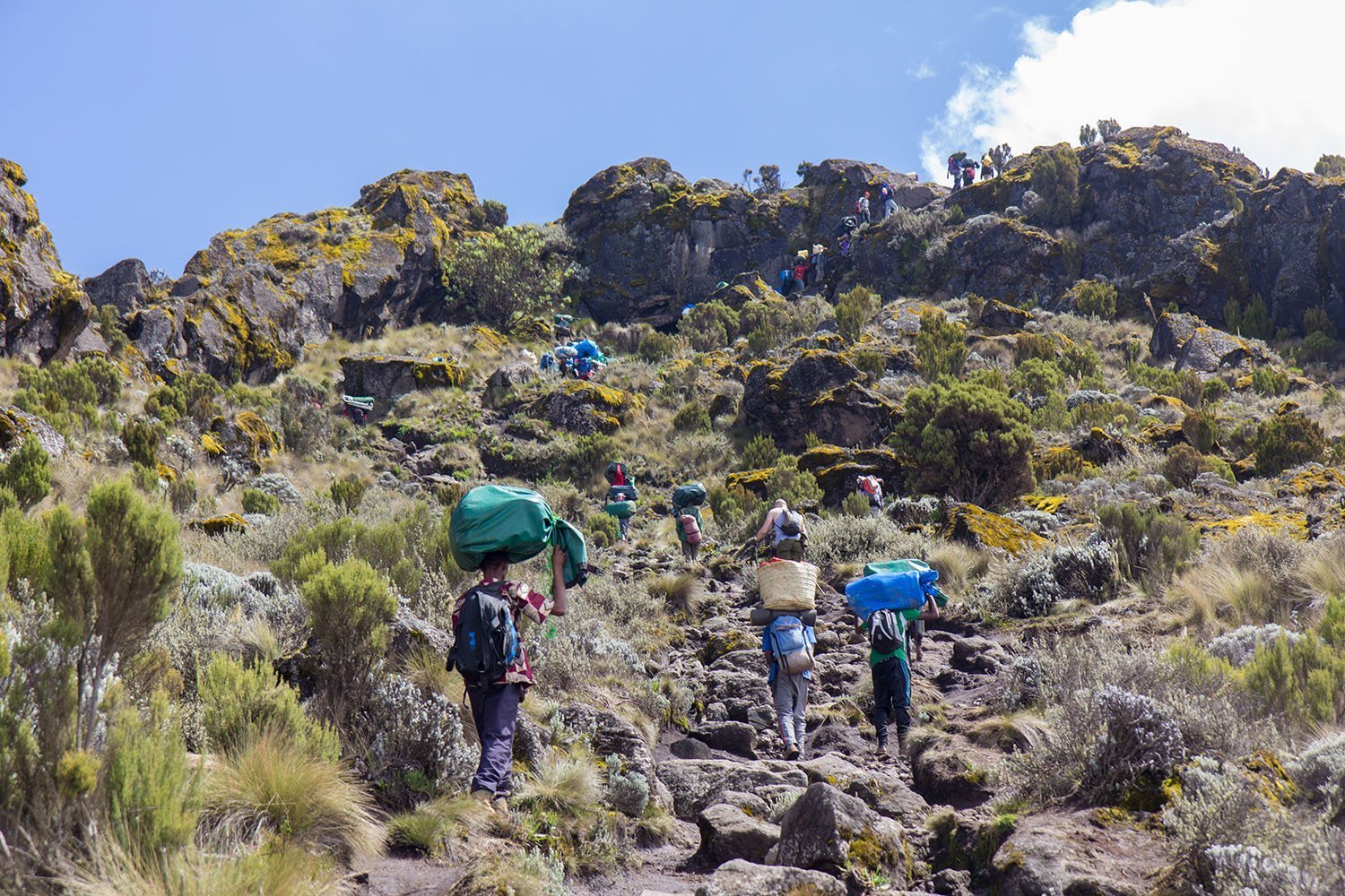 Kilimanjaro Trek Tour