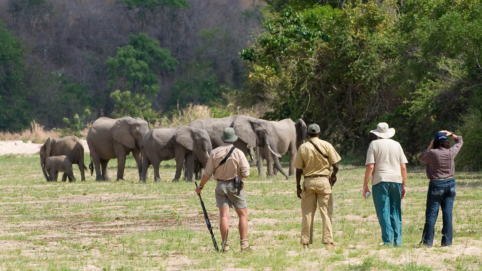Kilimanjaro Trek Tour