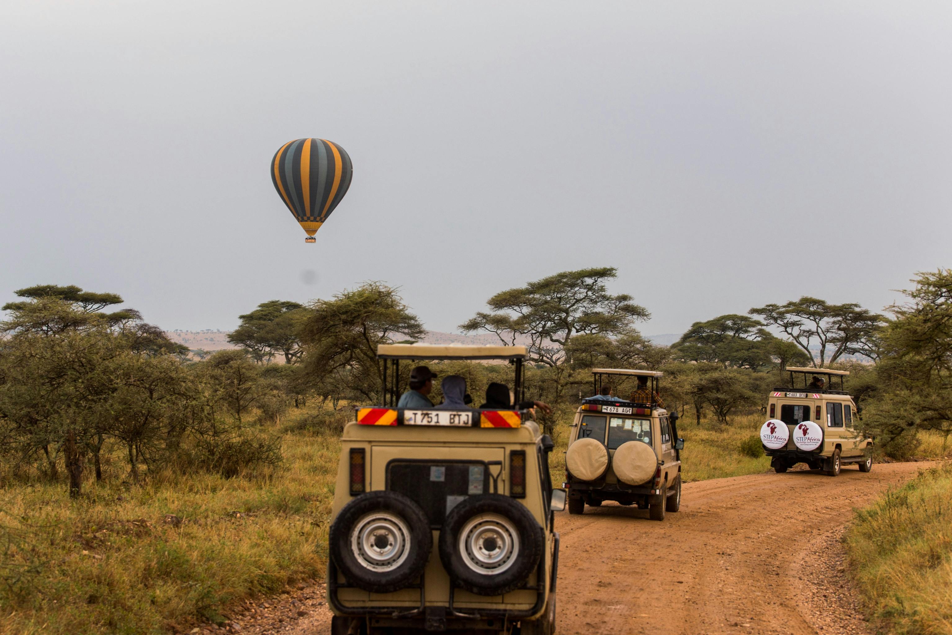 Kilimanjaro Trek Tour